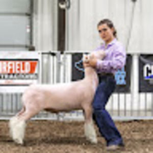 Meet your Posher, Laurel